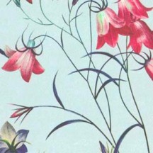 Red and Blue Flowers Print on Blue Italian Paper ~ Tassotti